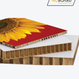 BioBoard Honeycomb X Board